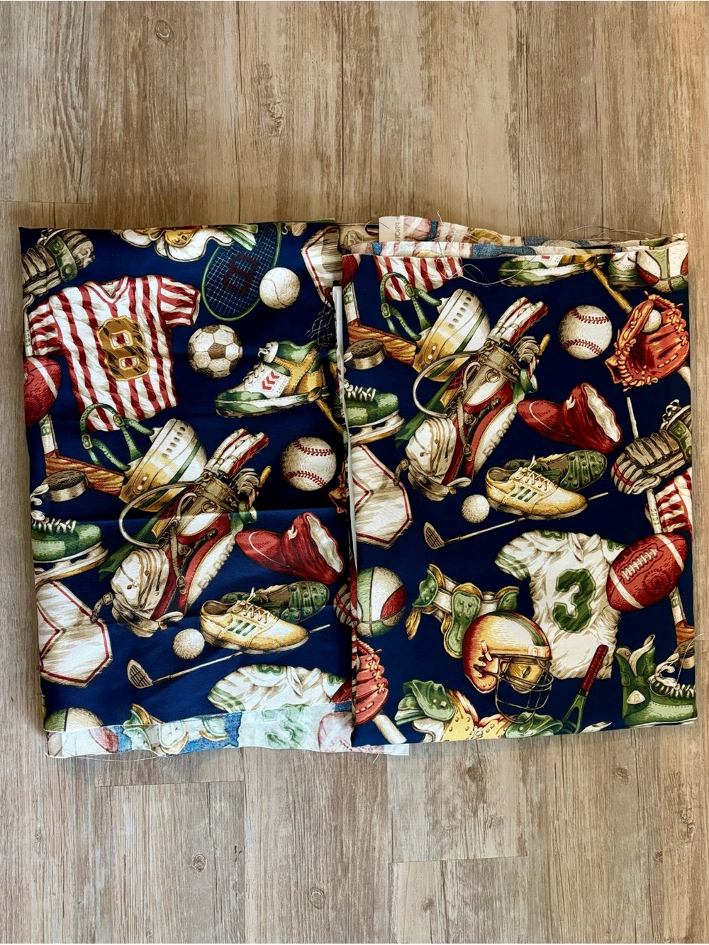 Fabric Sports Theme by Bloomcraft 2 Pieces 54”x80” Each New